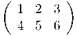  \left( \begin{array}{ccc} 1 & 2 & 3 \\ 4 & 5 & 6 \end{array} \right)